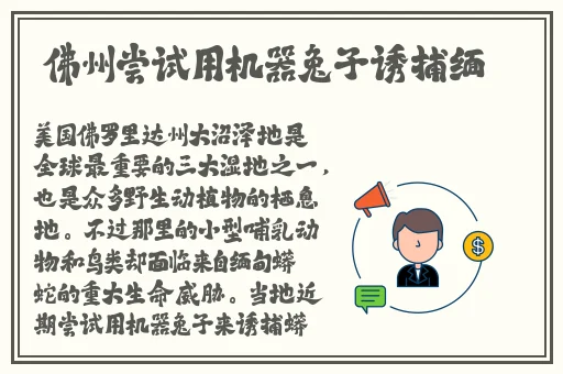 速播软件